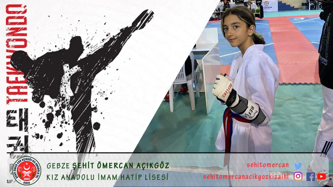 Öğrencimiz Aylin AYRILMAZ'ın Taekwondo Turnuva Başarısı